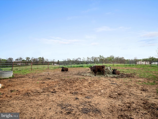 view of yard with a rural view