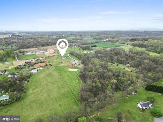 bird's eye view