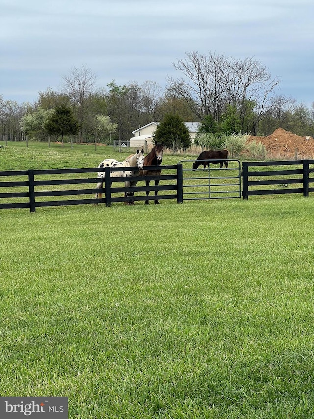 view of yard featuring a rural view and fence