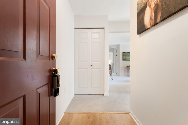 9552 Cannoneer Ct Unit 204, Manassas, VA 20110 - corridor featuring light wood finished floors and baseboards