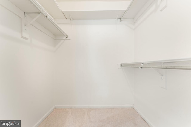 9552 Cannoneer Ct Unit 204, Manassas, VA 20110 - spacious closet with carpet