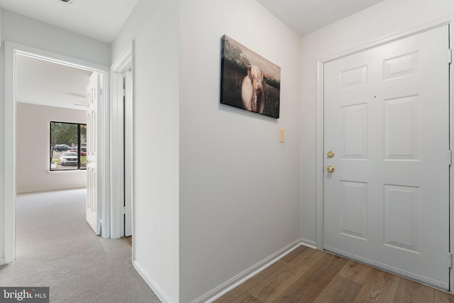 9552 Cannoneer Ct Unit 204, Manassas, VA 20110 - hallway featuring baseboards and wood finished floors
