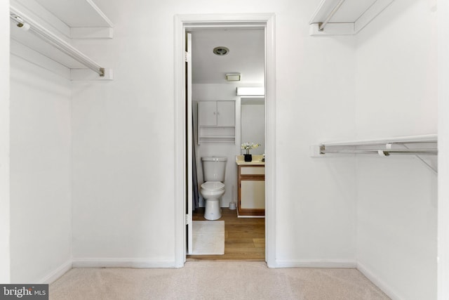 9552 Cannoneer Ct Unit 204, Manassas, VA 20110 - walk in closet with carpet