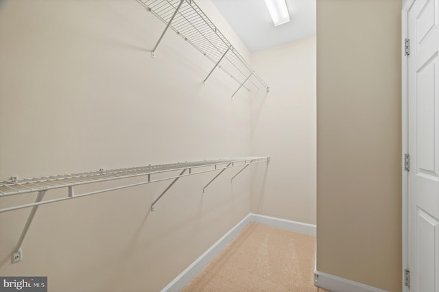 20449 Rosses Point Ct, Ashburn, VA 20147 - walk in closet featuring light colored carpet