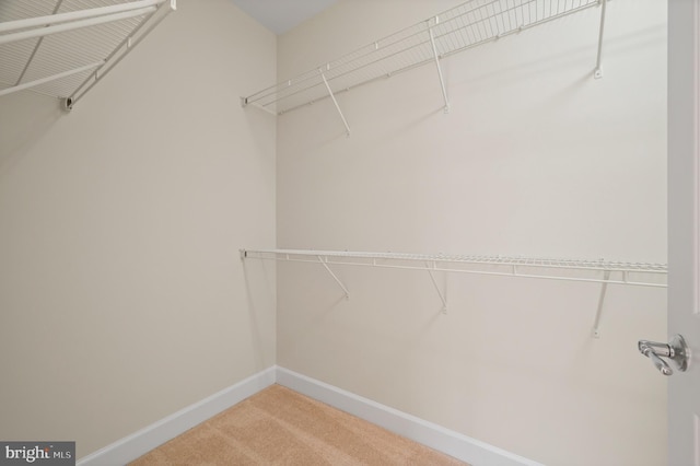 20449 Rosses Point Ct, Ashburn, VA 20147 - spacious closet with carpet floors