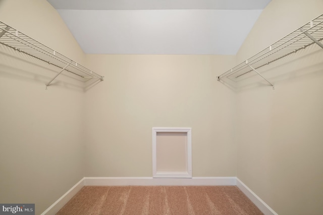 20449 Rosses Point Ct, Ashburn, VA 20147 - walk in closet with light colored carpet and lofted ceiling