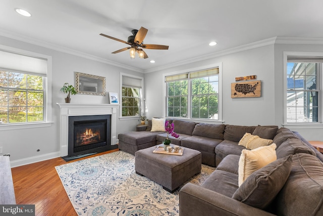 3 Union St, Robbinsville, NJ 08691 - living room featuring ceiling fan, a glass covered fireplace, a healthy amount of sunlight, and wood finished floors