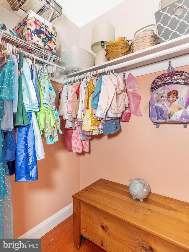 spacious closet featuring wood finished floors