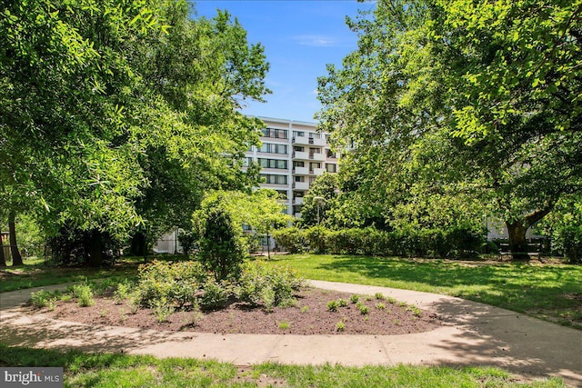 4501 Arlington Blvd Unit 709, Arlington, VA 22203 - view of community featuring a yard