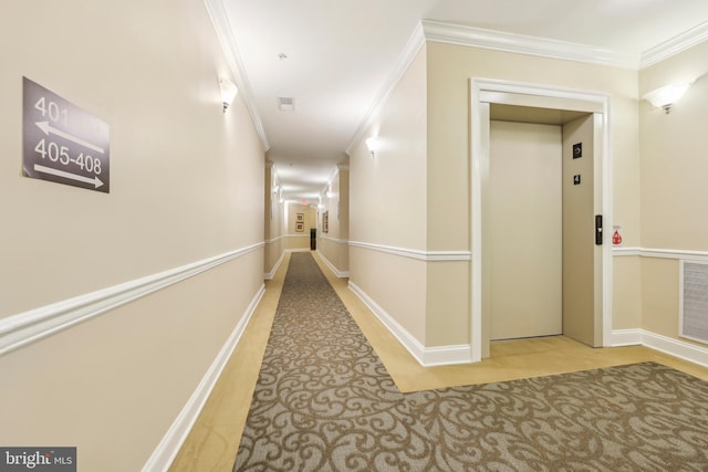 9200 Charleston Dr Unit 408, Manassas, VA 20110 - hall with elevator, ornamental molding, carpet, and baseboards