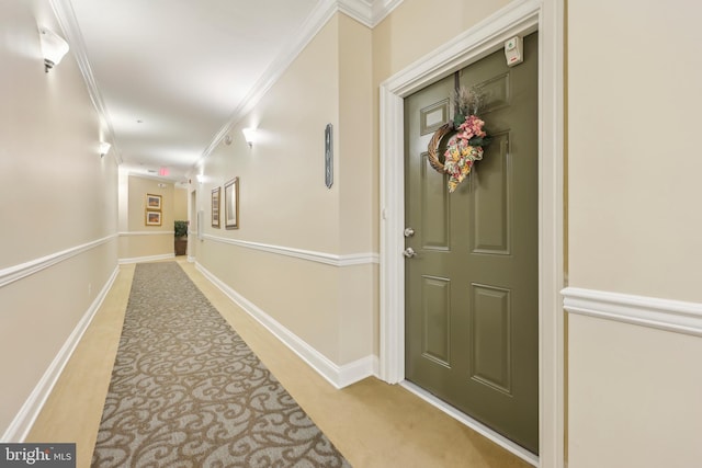 9200 Charleston Dr Unit 408, Manassas, VA 20110 - corridor featuring carpet flooring, ornamental molding, and baseboards