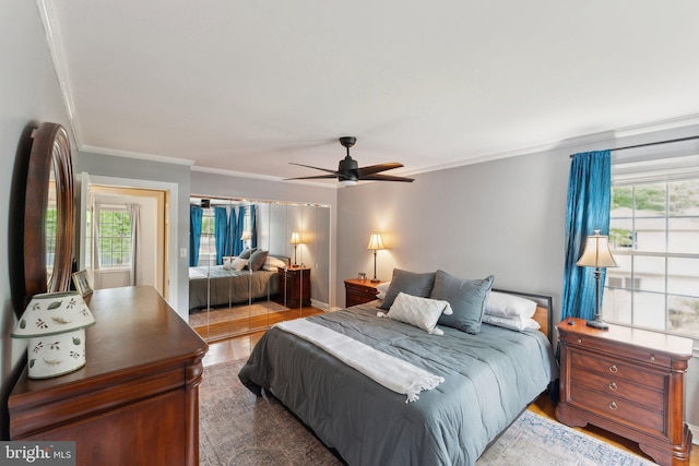 8807 Falkstone Ln, Alexandria, VA 22309 - bedroom with ornamental molding, multiple windows, wood finished floors, and ceiling fan
