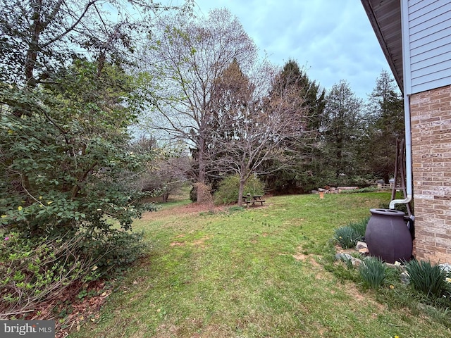 view of yard