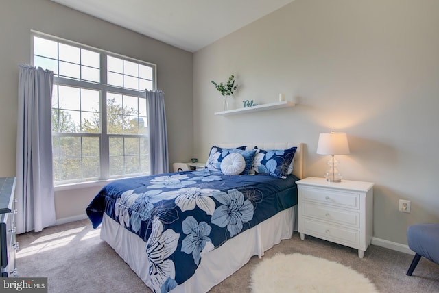 11405 Windleaf Ct Unit K # 24, Reston, VA 20194 - bedroom with multiple windows, light carpet, and baseboards