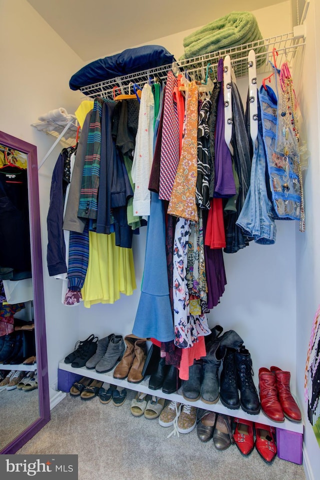11405 Windleaf Ct Unit K # 24, Reston, VA 20194 - spacious closet featuring carpet flooring