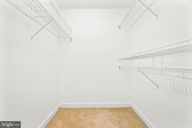 walk in closet featuring light colored carpet