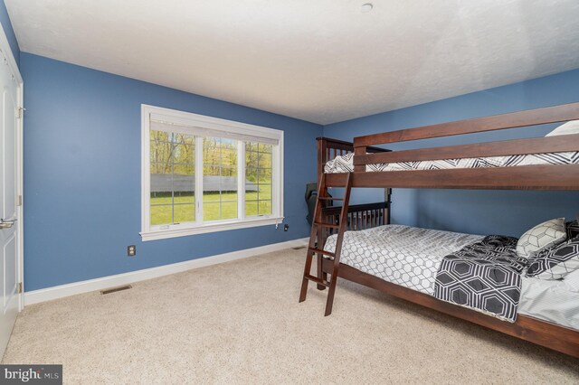 890 Hobart Rd, Hanover, PA 17331 - bedroom with carpet flooring and baseboards