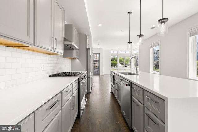 kitchen with dark wood-style flooring, a sink, gray cabinetry, stainless steel appliances, and extractor fan