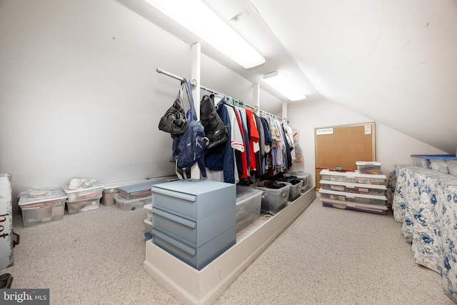 spacious closet featuring vaulted ceiling and carpet floors