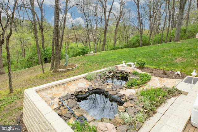 view of yard featuring a garden pond