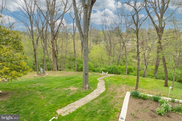 view of yard featuring a wooded view