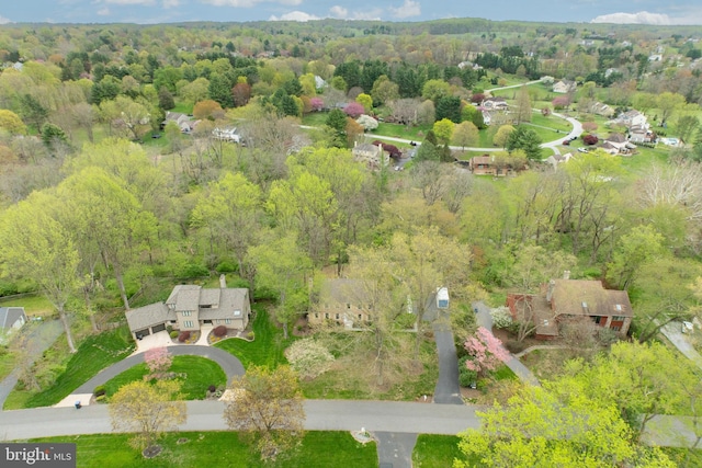 bird's eye view with a view of trees