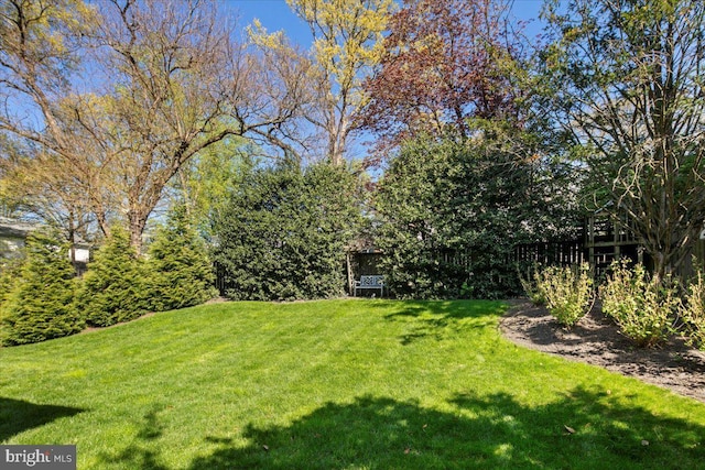 view of yard with fence