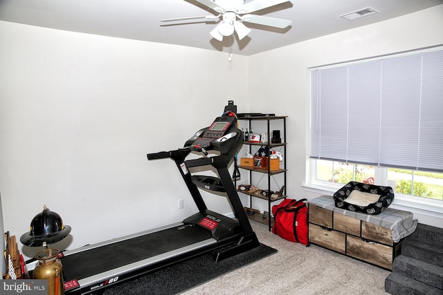 185 Petal Dr, Pottstown, PA 19464 - exercise area with visible vents, carpet flooring, and ceiling fan