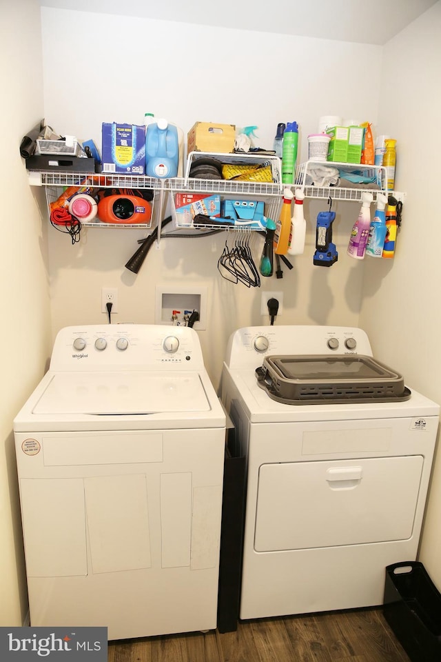 185 Petal Dr, Pottstown, PA 19464 - laundry area with separate washer and dryer, laundry area, and dark wood finished floors