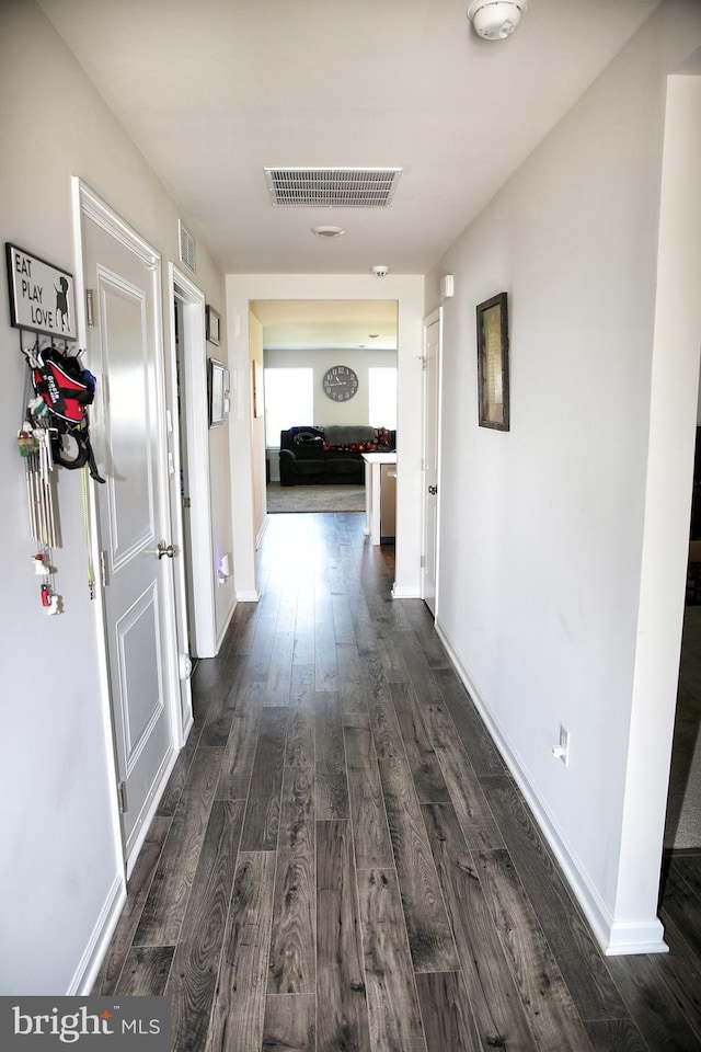 185 Petal Dr, Pottstown, PA 19464 - hallway with dark wood-type flooring, visible vents, and baseboards