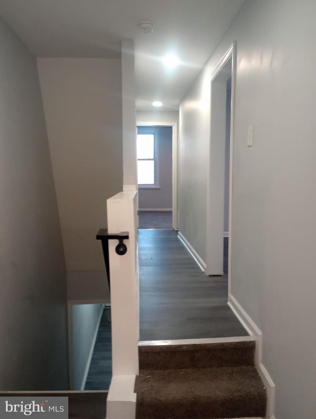 stairs featuring wood finished floors and baseboards