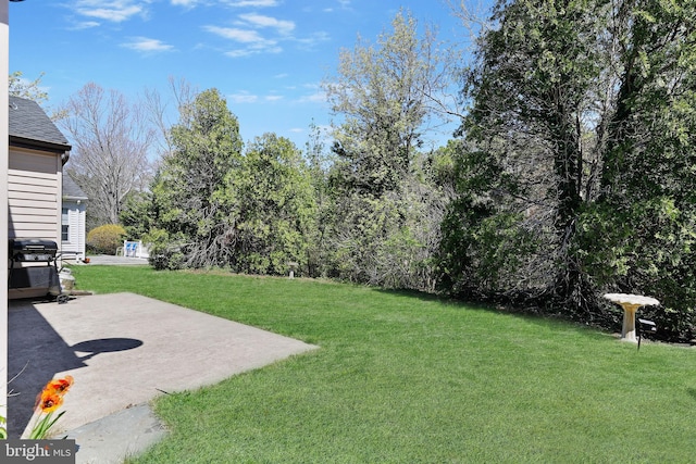 view of yard featuring a patio area