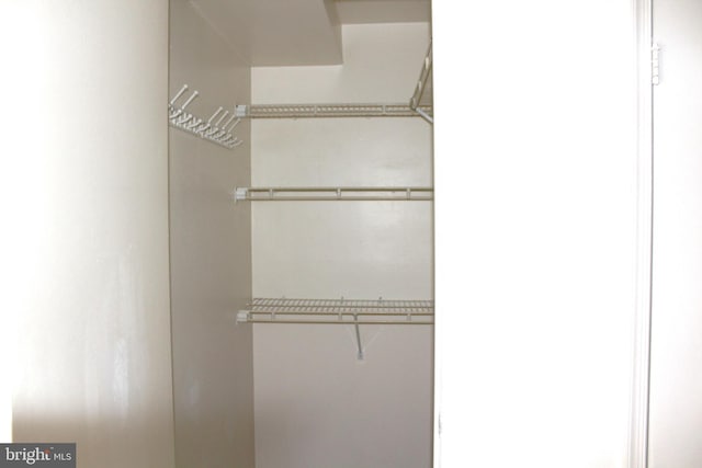 1105 Castle Harbour Way Unit 2B, Glen Burnie, MD 21060 - view of closet