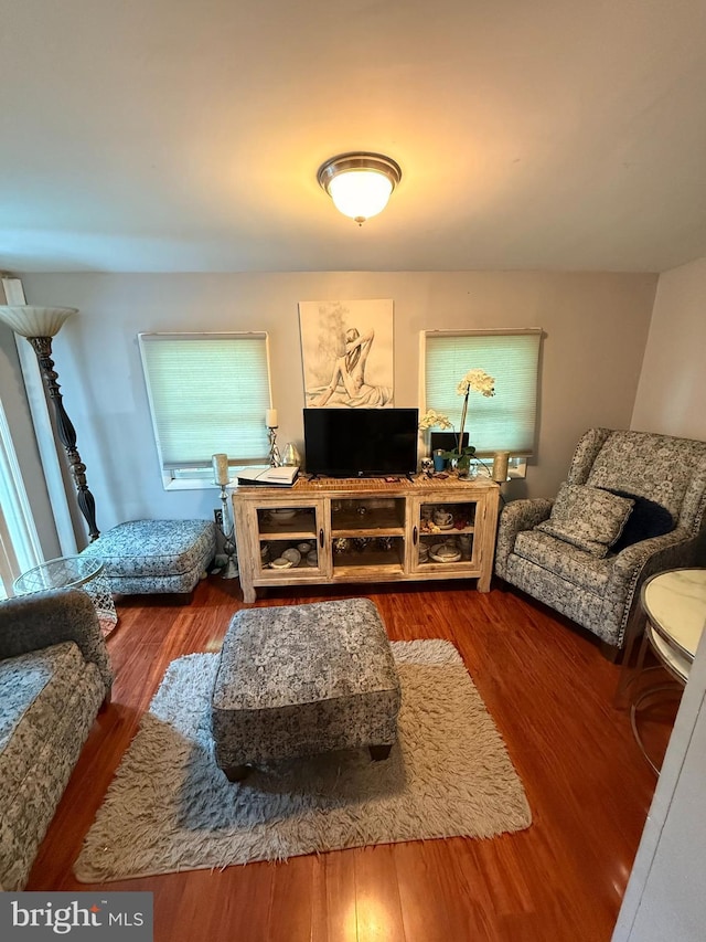 4006 Chesmont Ave, Baltimore, MD 21206 - living room featuring wood finished floors