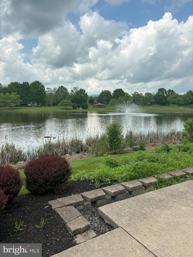 2420 Huntwood Ct, Frederick, MD 21702 - view of water feature