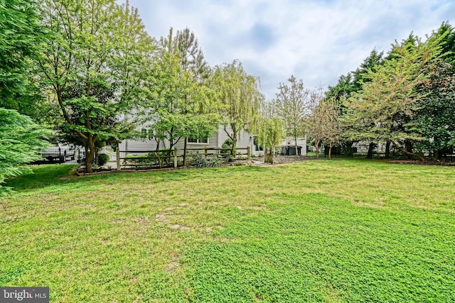 view of yard