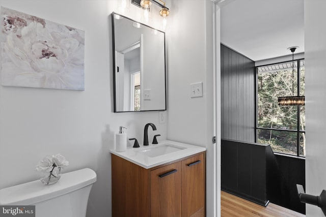 bathroom featuring toilet, vanity, and wood finished floors