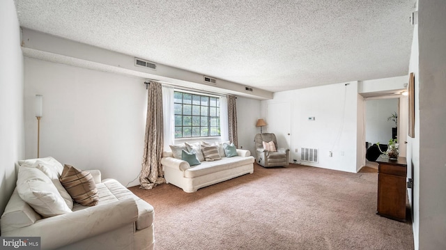 3801 Swann Rd Unit 101, Suitland, MD 20746 - living room featuring carpet floors and a textured ceiling