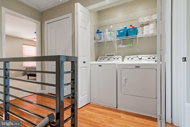washroom featuring separate washer and dryer, ornamental molding, laundry area, and light wood-style flooring