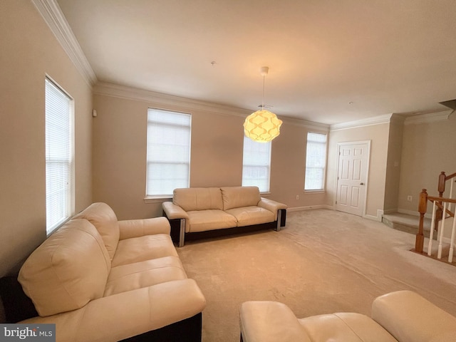 3648 Holborn Pl Unit 3648, Frederick, MD 21704 - living area featuring light carpet, crown molding, and baseboards