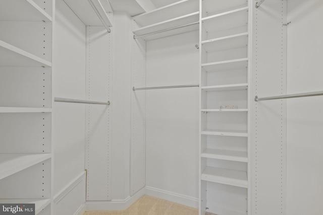 view of walk in closet