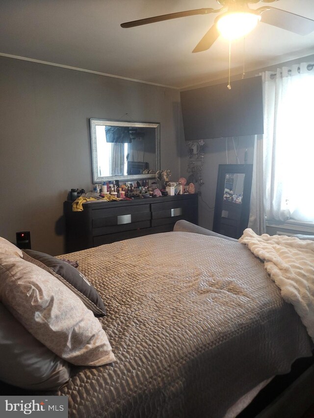 bedroom with a ceiling fan and multiple windows