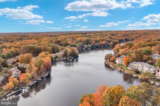 bird's eye view featuring a water view and a forest view