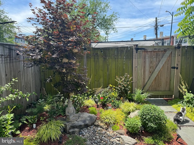 728 Farragut St NW, Washington, DC 20011 - view of yard featuring fence and a gate