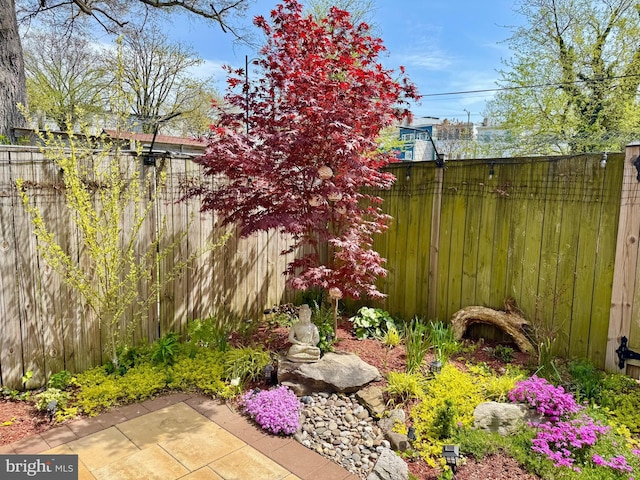 728 Farragut St NW, Washington, DC 20011 - view of yard featuring a patio and fence