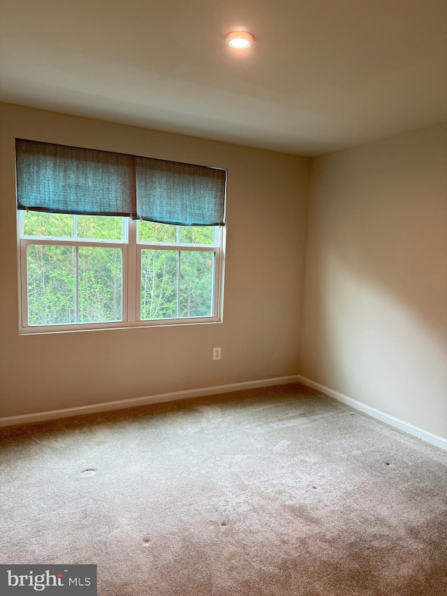 506 Red Bill Ln, Cambridge, MD 21613 - empty room with baseboards and carpet floors