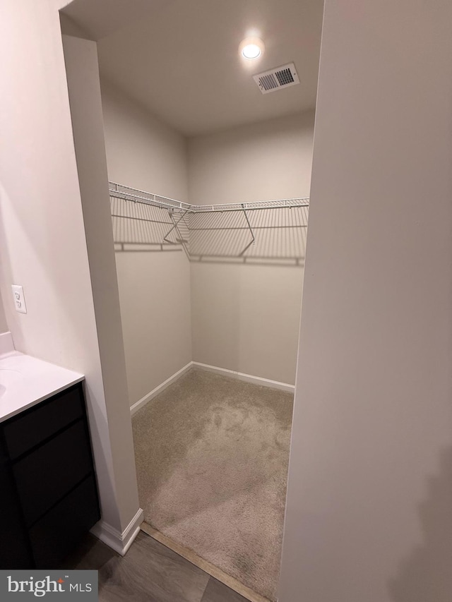 506 Red Bill Ln, Cambridge, MD 21613 - walk in closet featuring visible vents and carpet