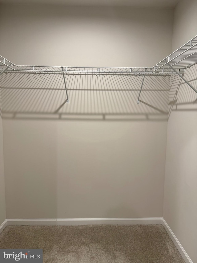 506 Red Bill Ln, Cambridge, MD 21613 - walk in closet with carpet