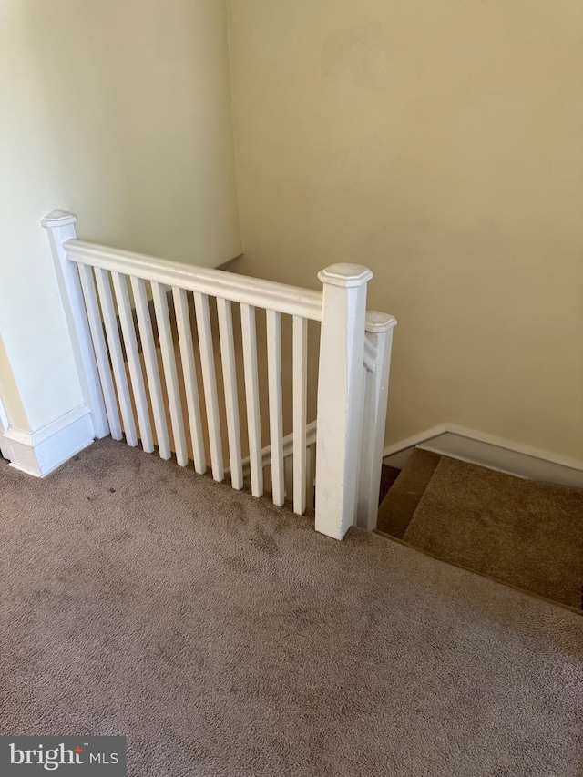 stairway with carpet