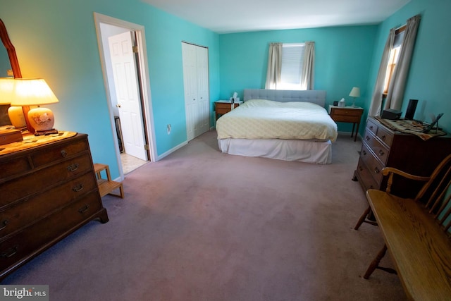 20 Eagle Ct, Gilbertsville, PA 19525 - bedroom with a closet, carpet flooring, and baseboards
